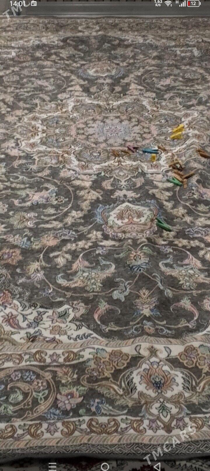 pakyrwal - Türkmenbaşy - img 2