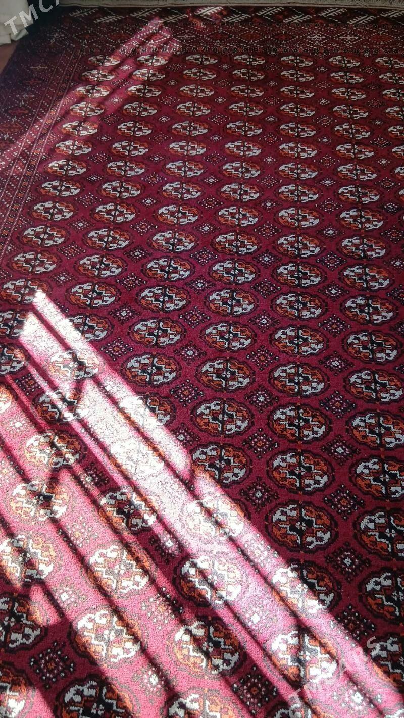 el haly - Gypjak - img 3