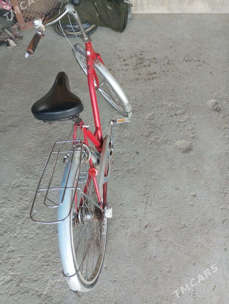 Tigir ýaponiski - Бахарден - img 1