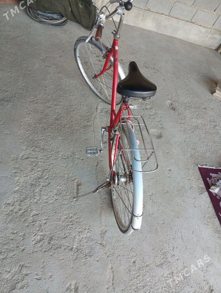 Tigir ýaponiski - Бахарден - img 3