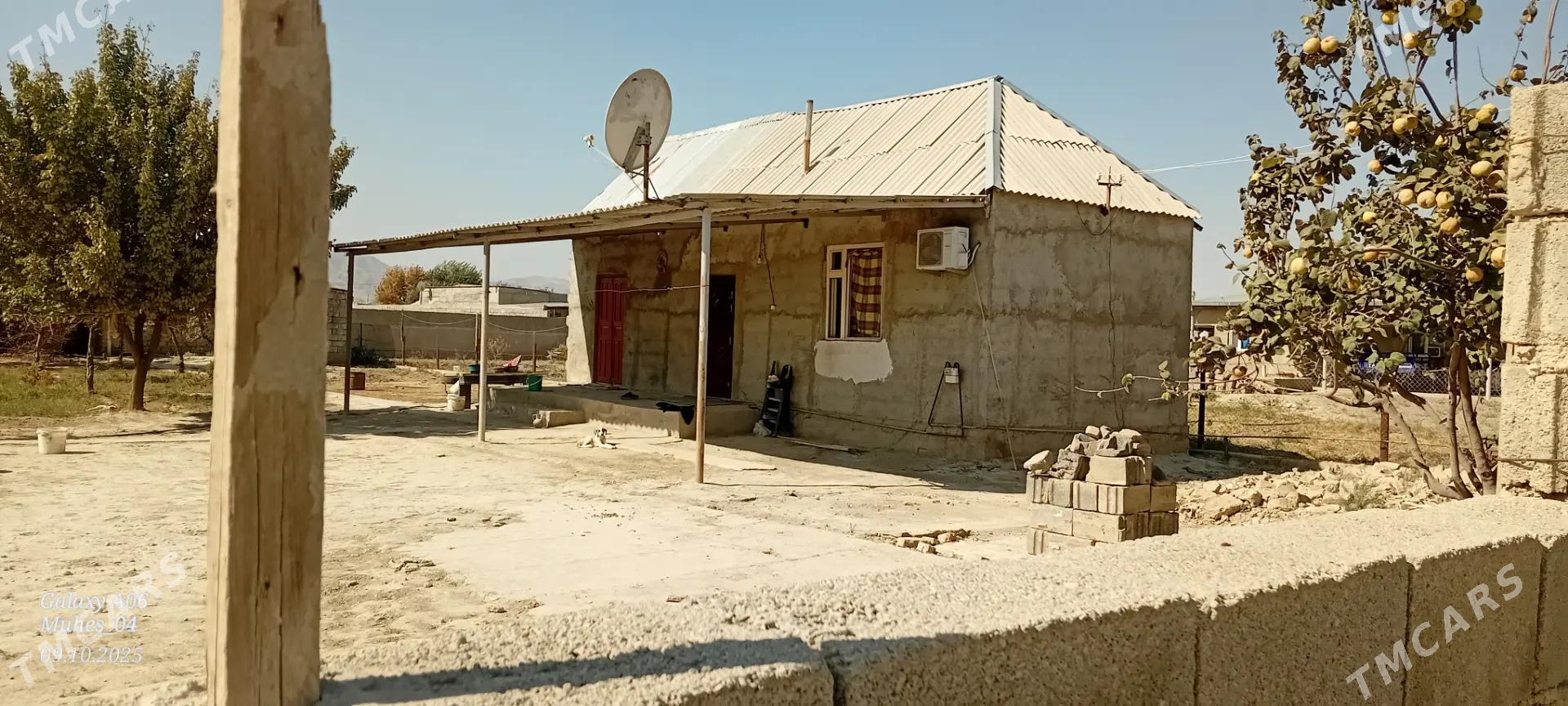 satlyk jay - Ýaşlyk - img 1