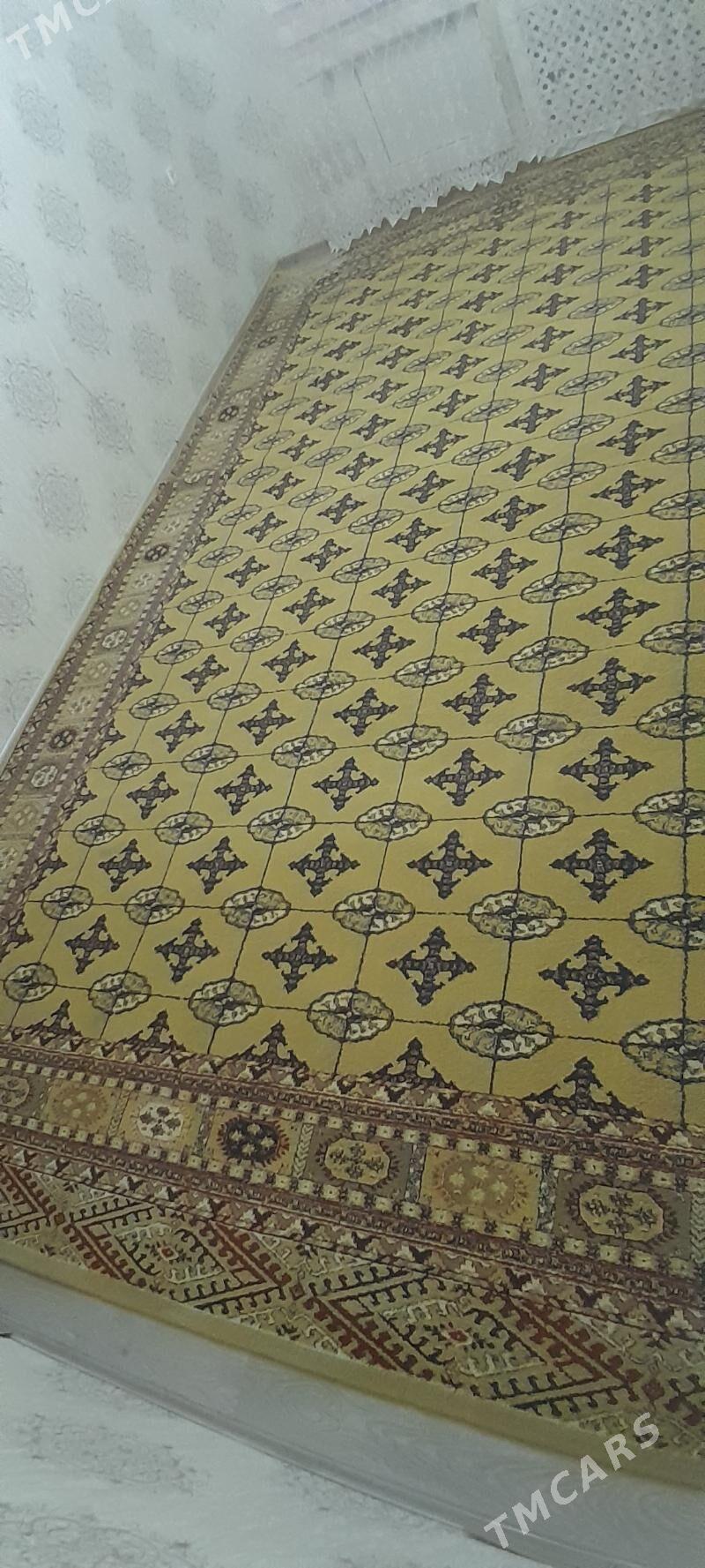 Haly  Palas  5×4 lik - Parahat 6 - img 2