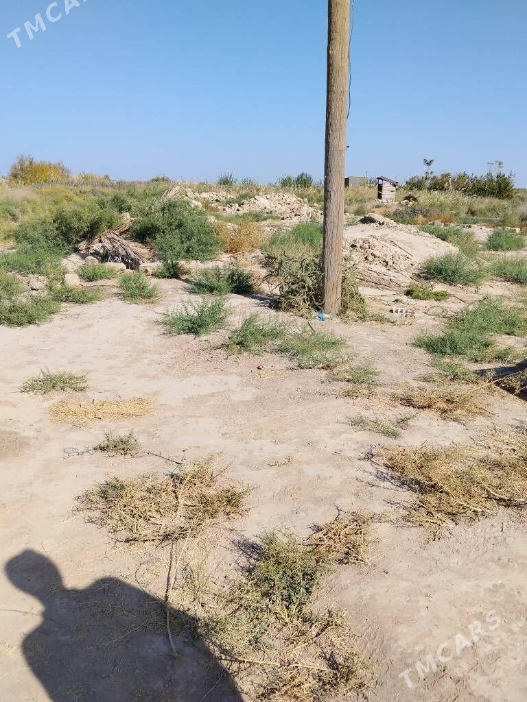 mellek yer - Baýramaly - img 3