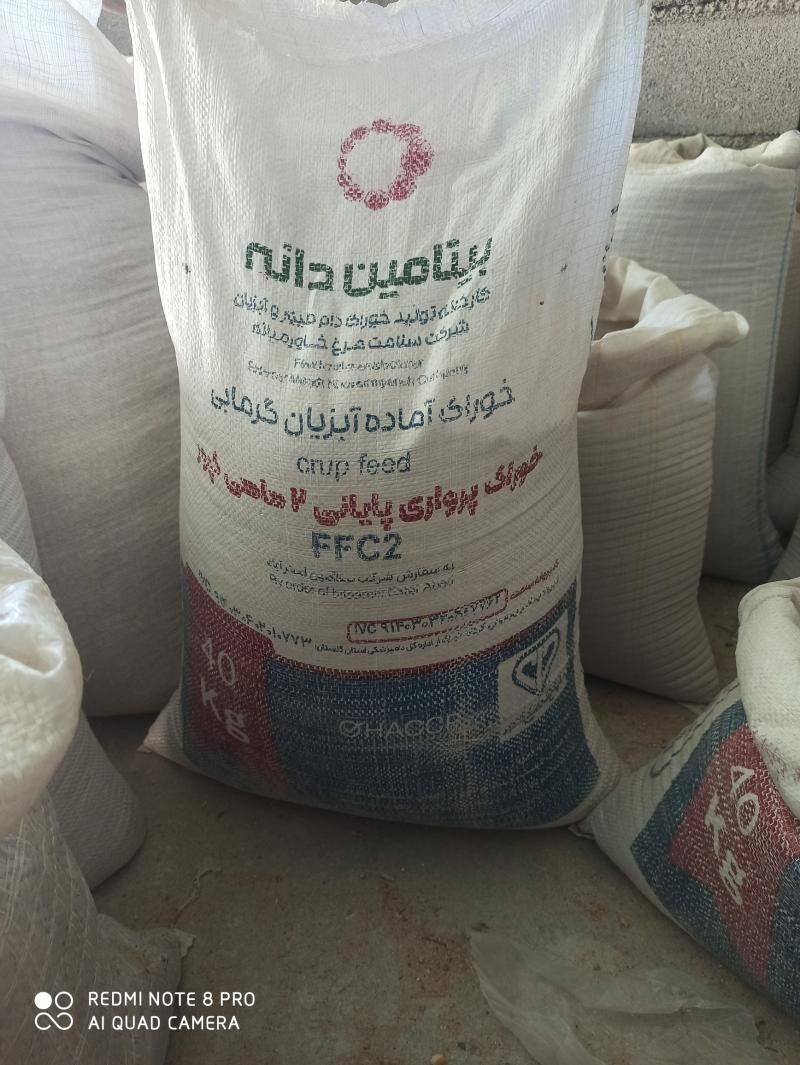 Goýun GEÇI ÖKÜZ TOWUK JÜÝJE IM - Bagyr - img 1