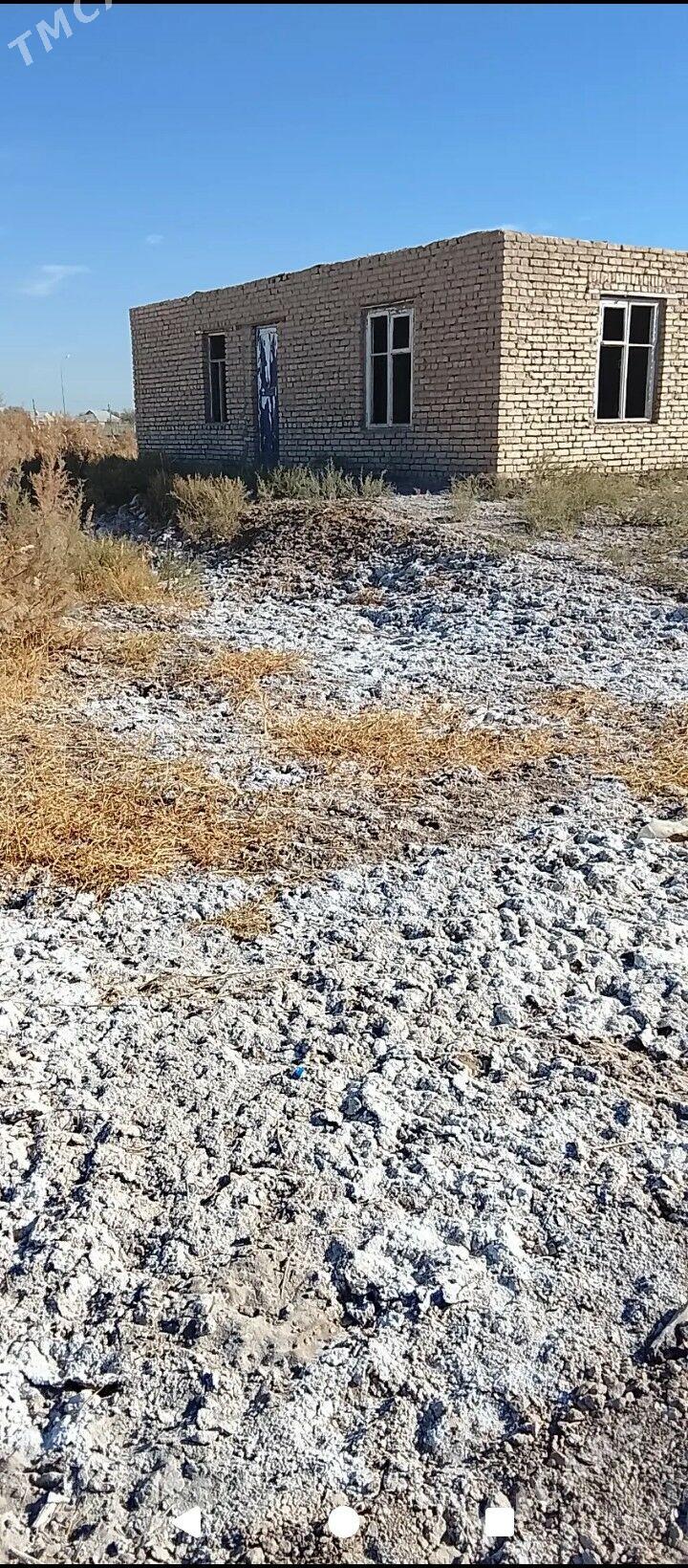 satlyk jay  mellek - Каракумский этрап - img 2