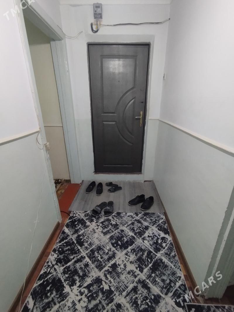 Satlyk jay - Mary - img 6