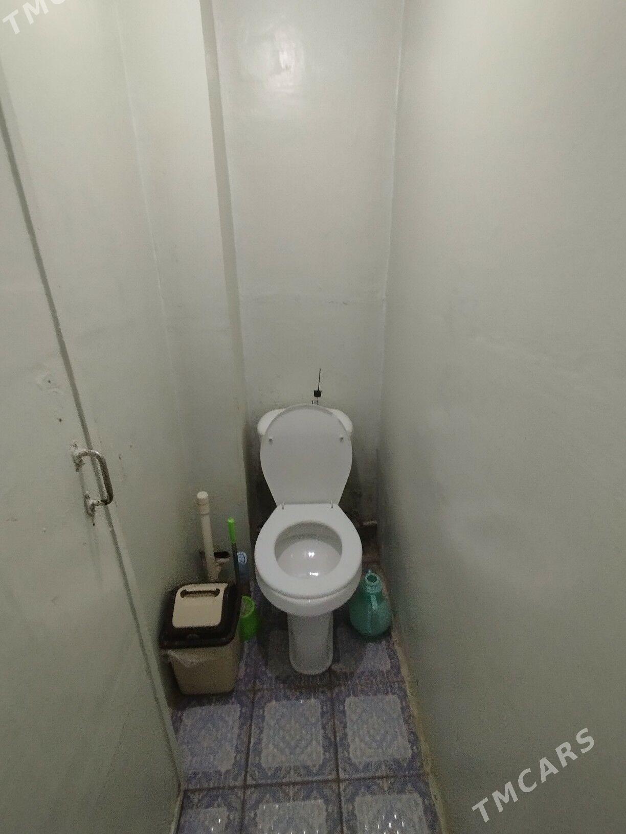 Satlyk jay - Mary - img 5