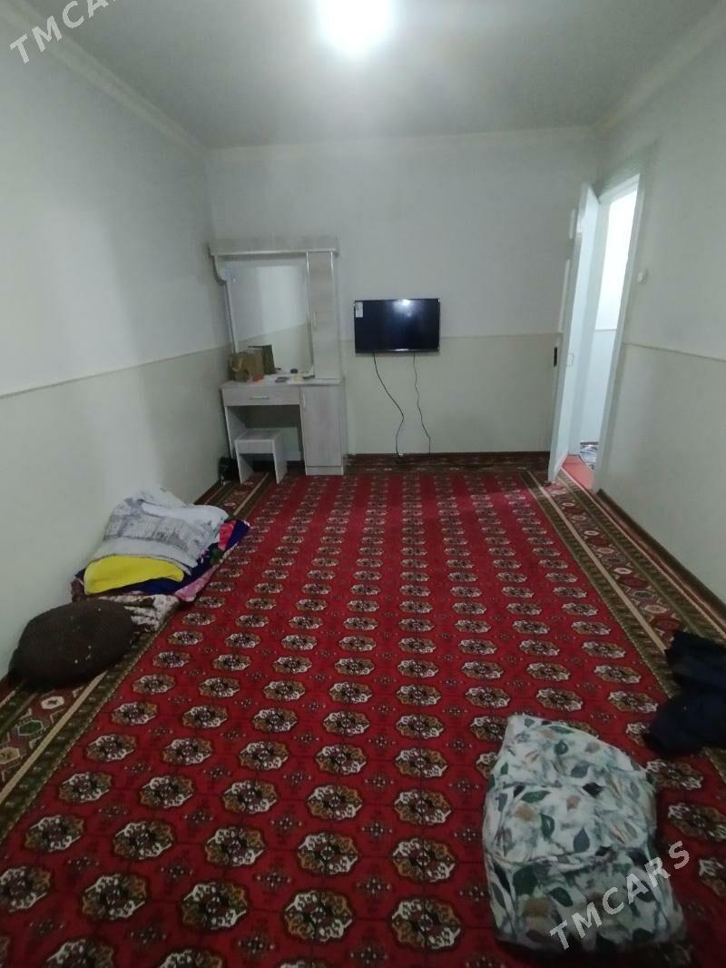 Satlyk jay - Mary - img 1