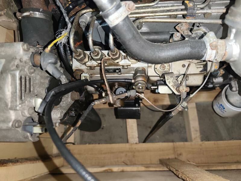 forland matorlar morda 27 000 TMT - Änew - img 3