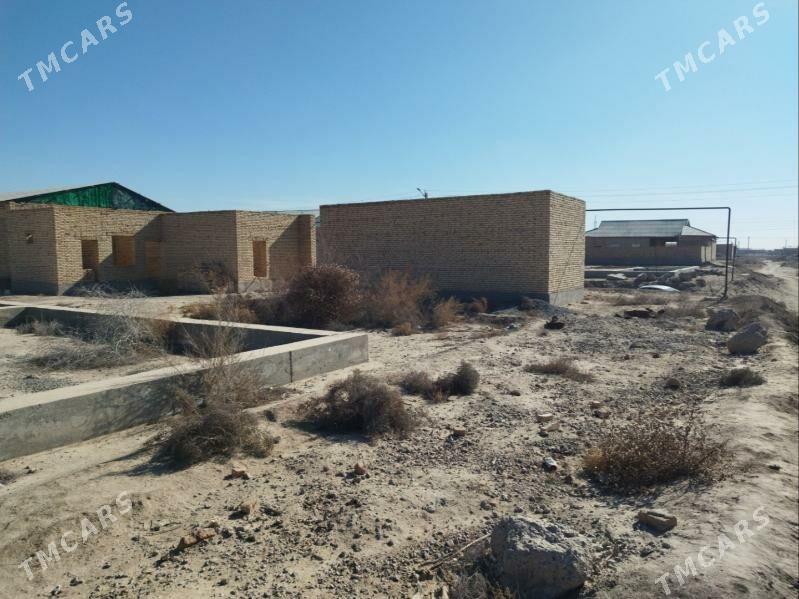 Satlyk Jaý Mellek - Farap - img 3