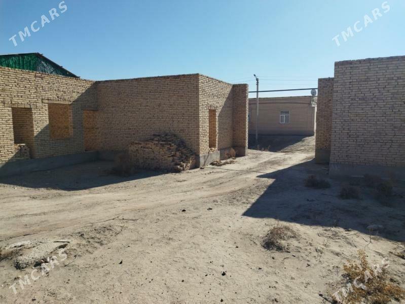 Satlyk Jaý Mellek - Farap - img 2