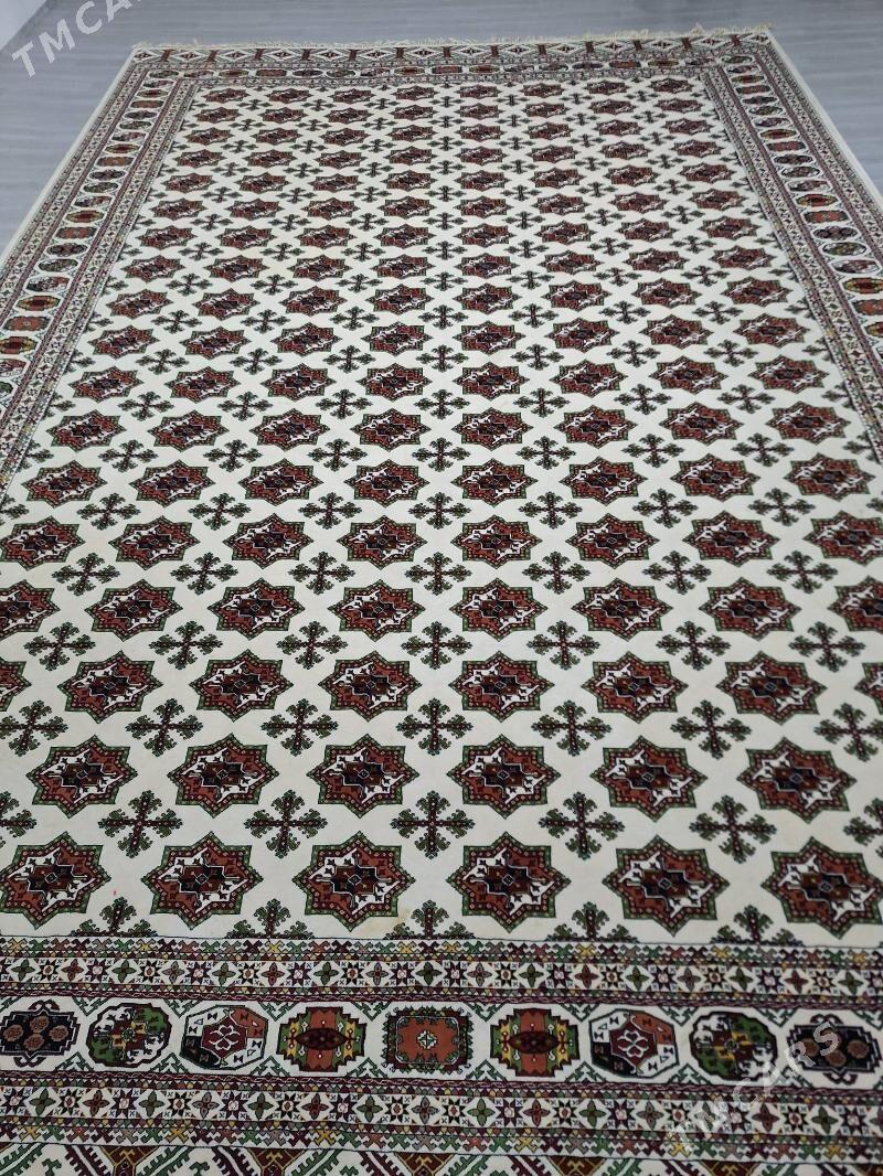 iran haly - Туркменбаши - img 3