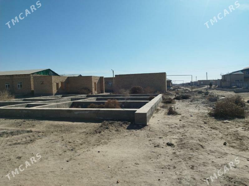 Satlyk Jaý Mellek - Farap - img 5