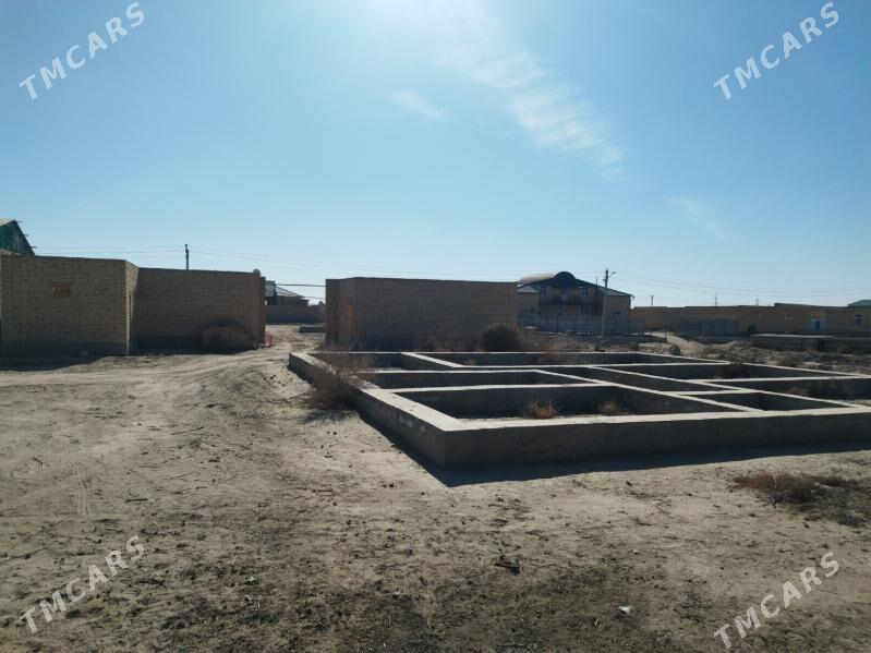 Satlyk Jaý Mellek - Farap - img 4