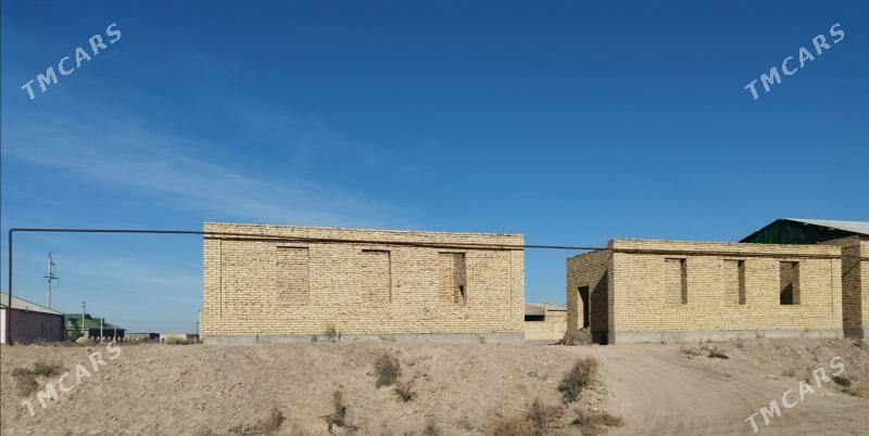 Satlyk Jaý Mellek - Farap - img 1