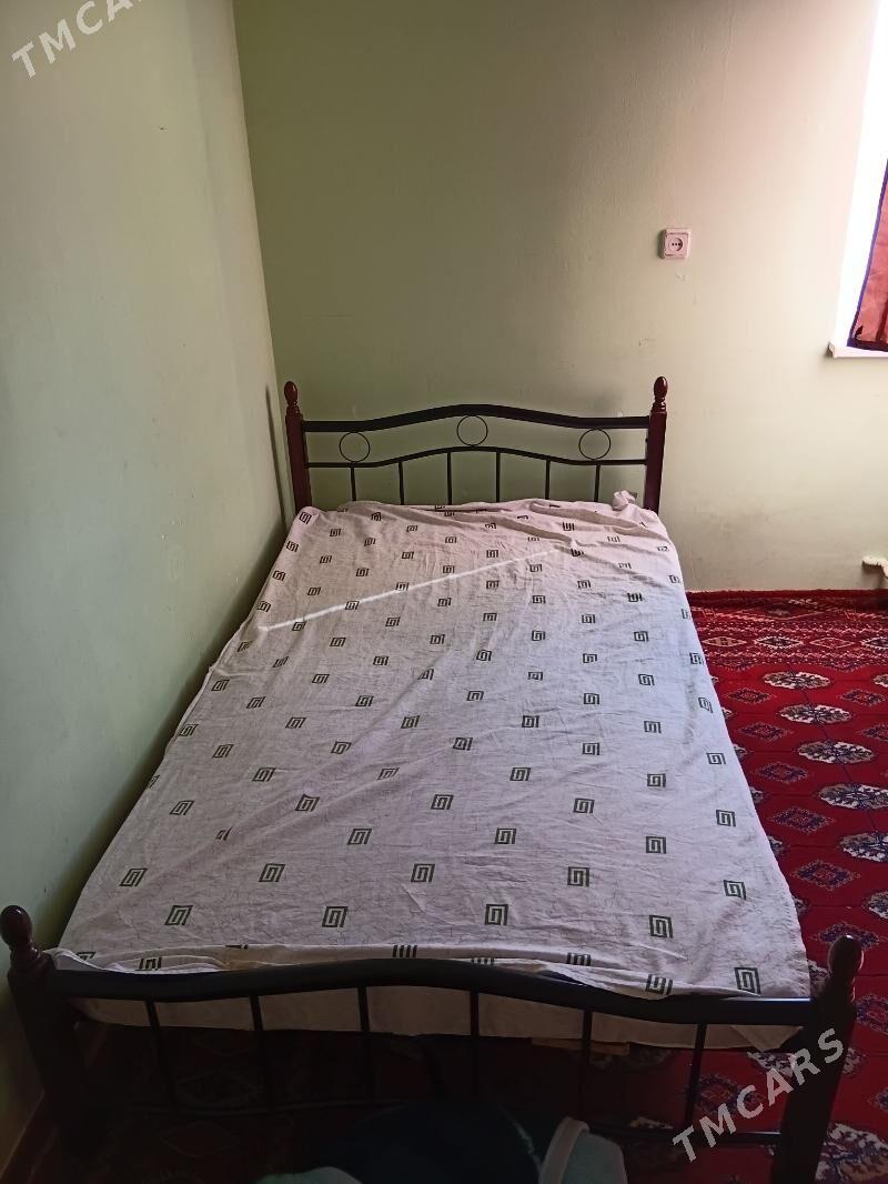 Komnat kotej - Täze zaman - img 2