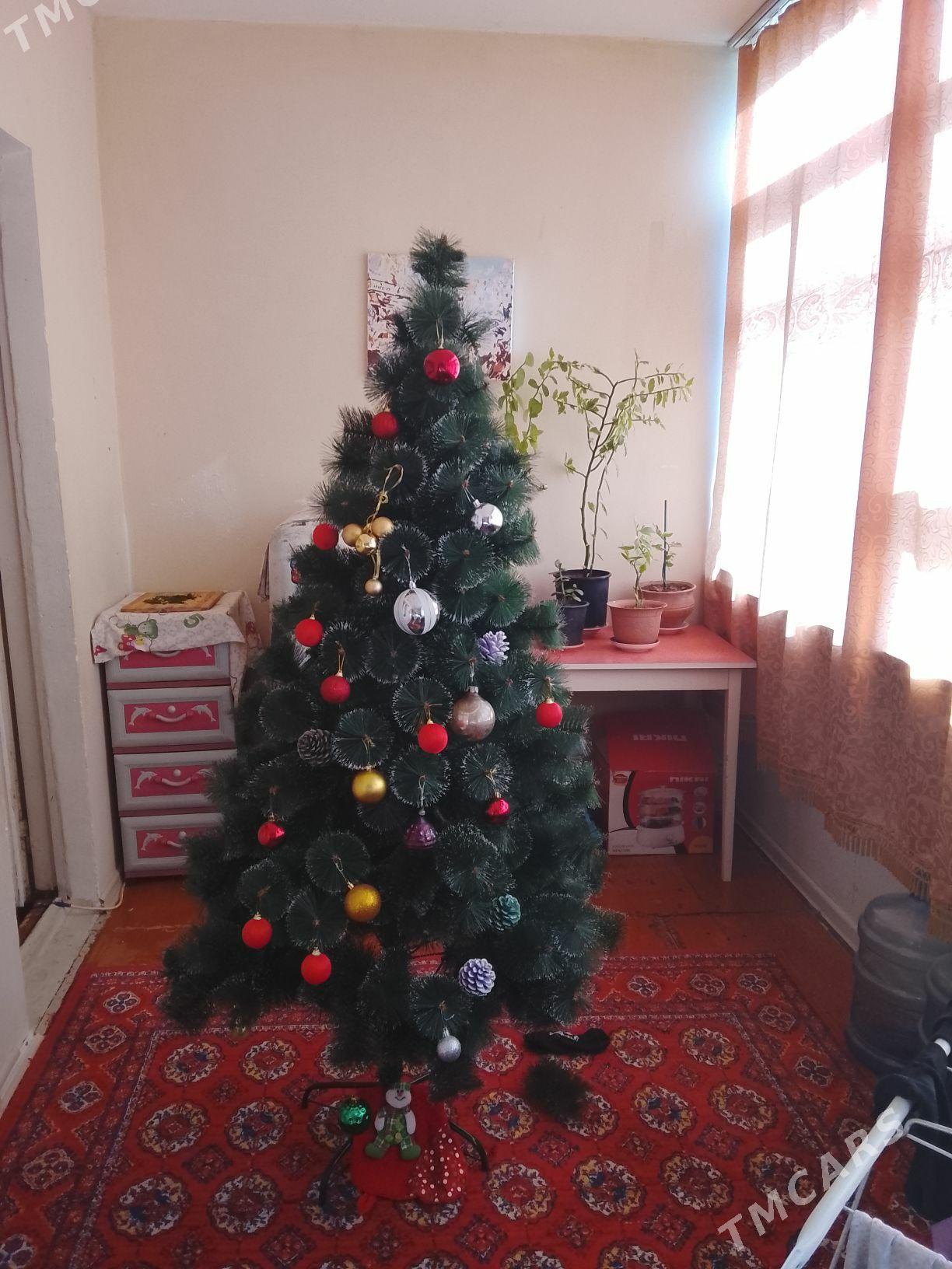 ёлка - Ашхабад - img 1