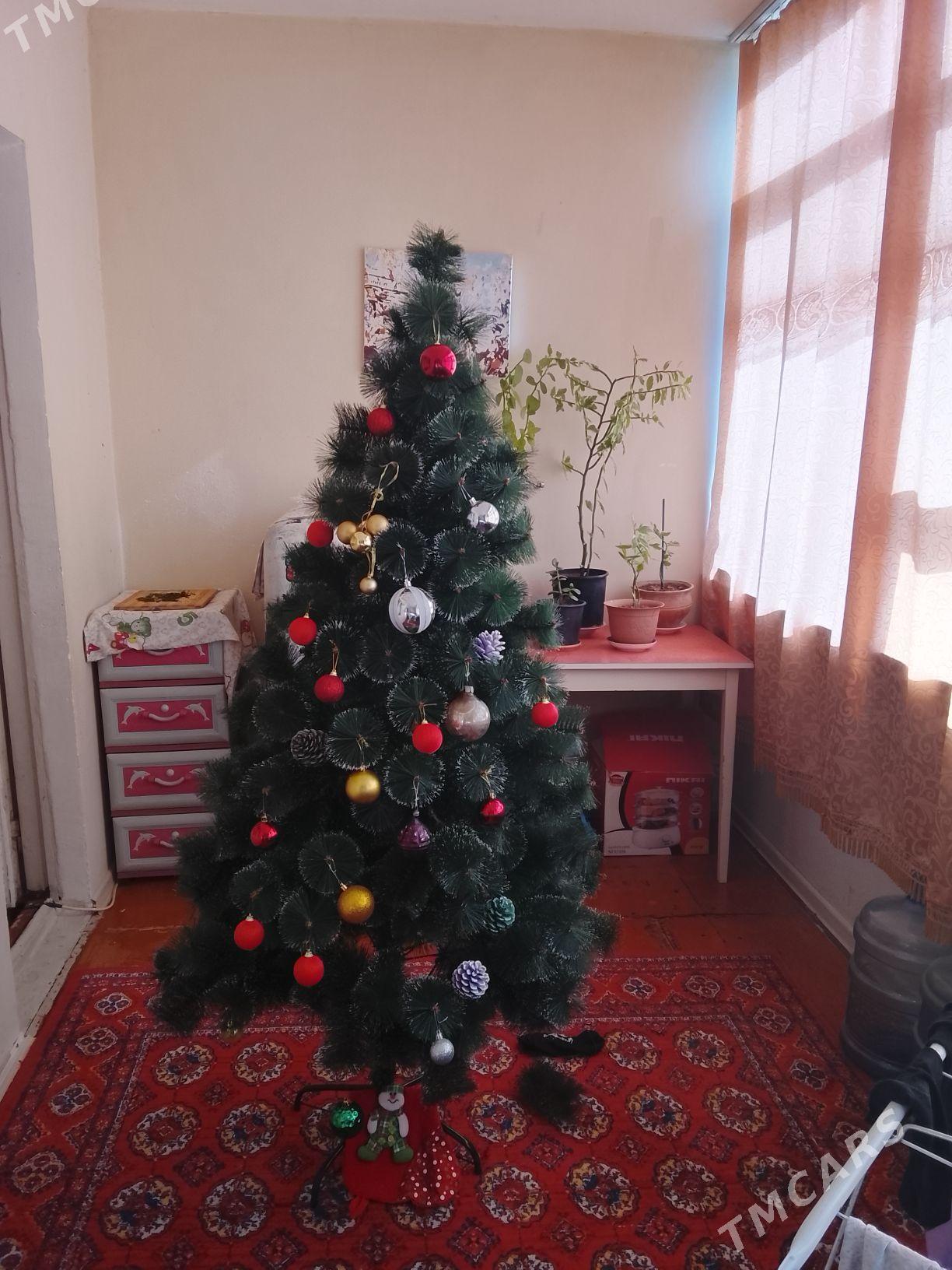 ёлка - Ашхабад - img 2