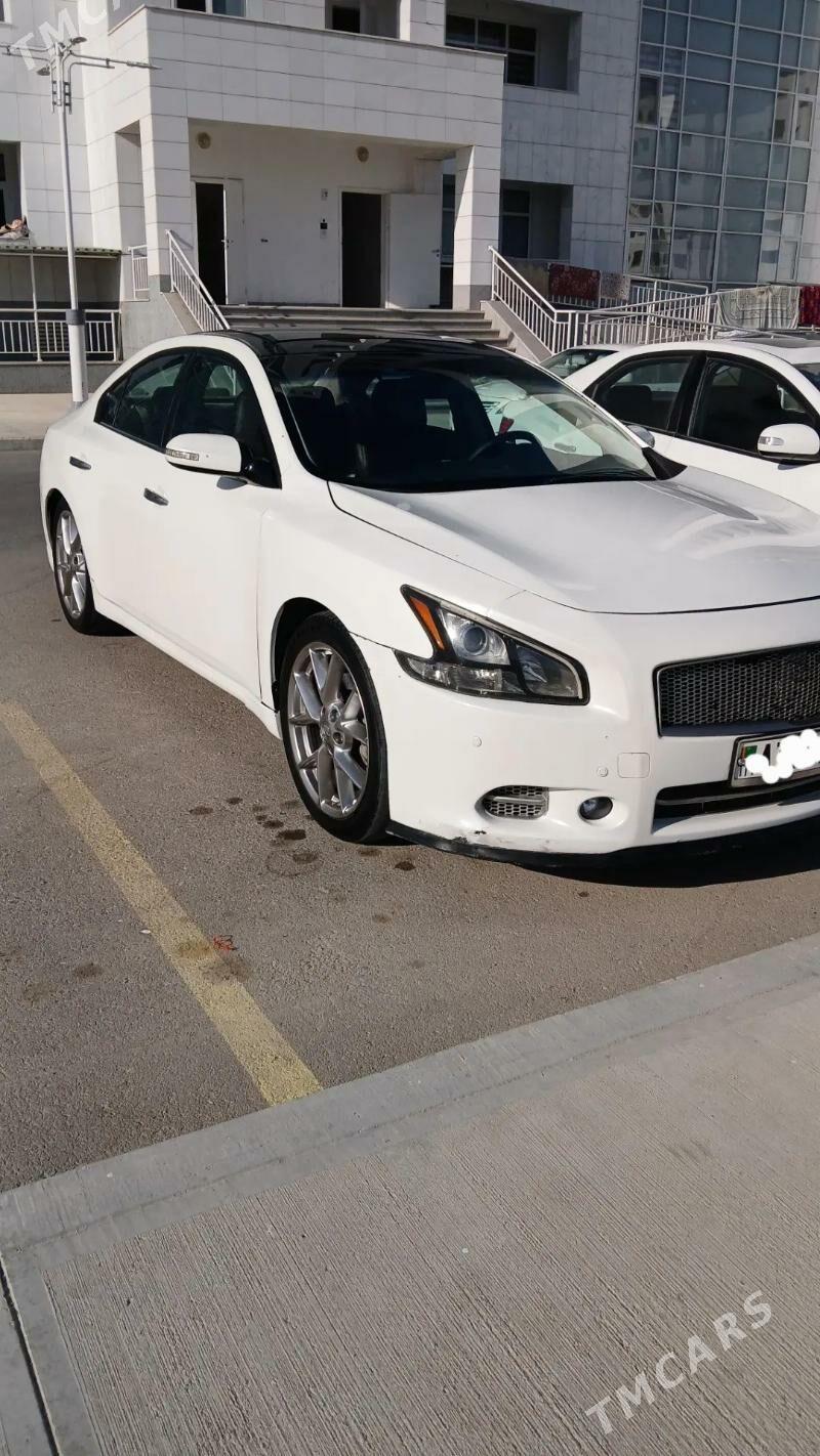 Nissan Maxima 2010 - 185 000 TMT - Aşgabat - img 1