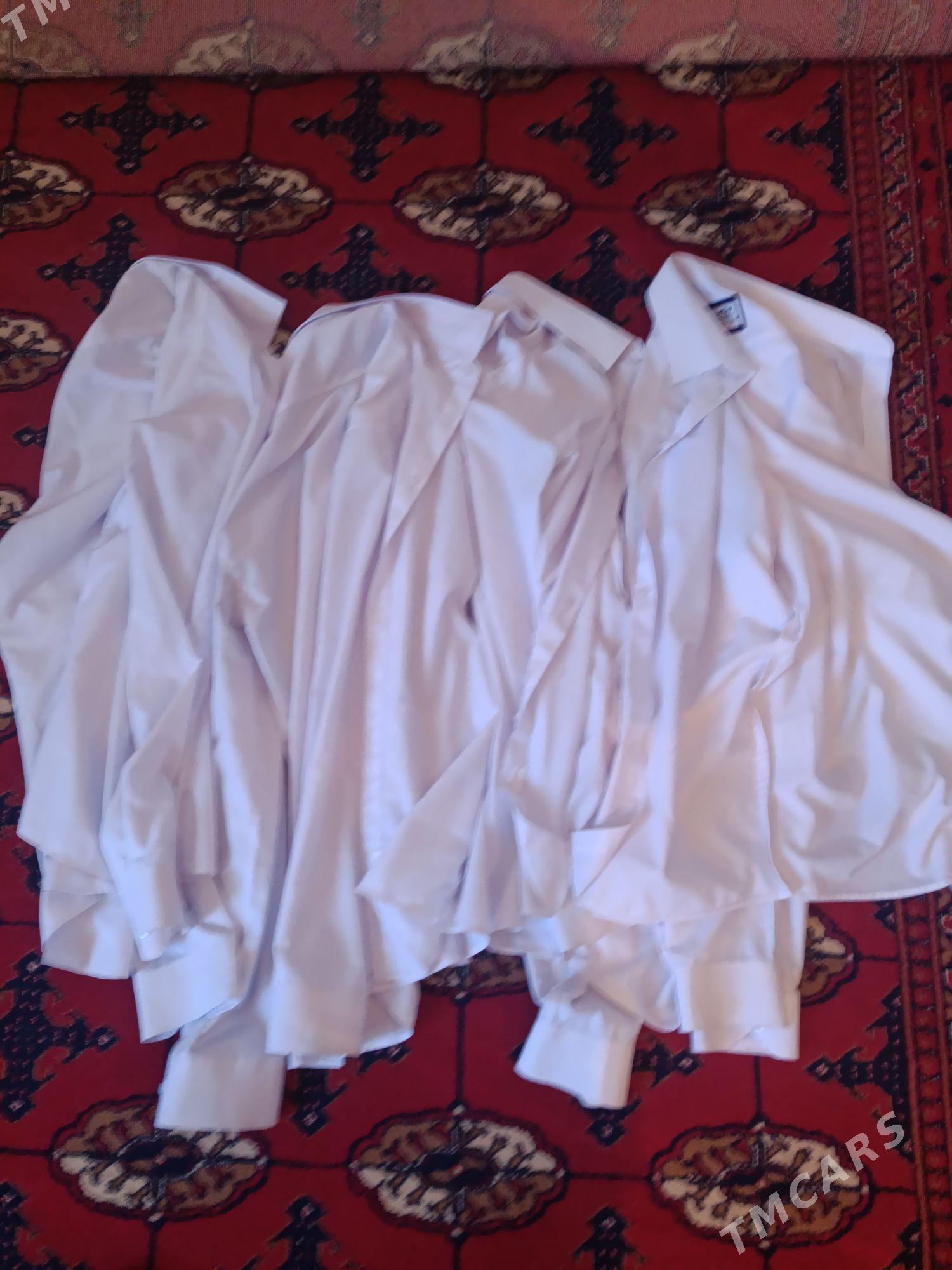 Kastyum balak gok gara malosny - Gurtly - img 8