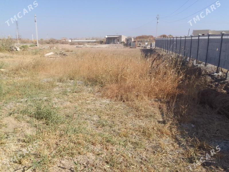 boş mellek yer - Mary - img 4