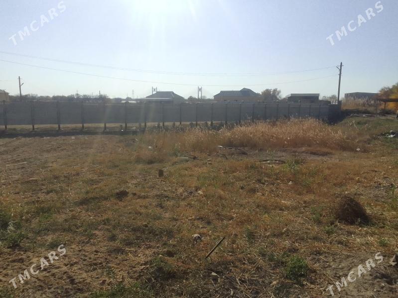 boş mellek yer - Mary - img 1