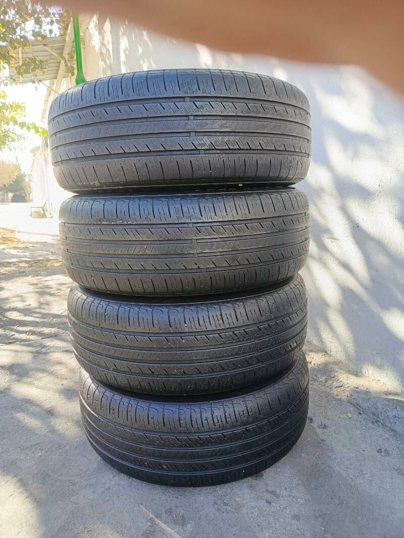 16 öküz kele radnoy 5 200 TMT - Хитровка - img 5