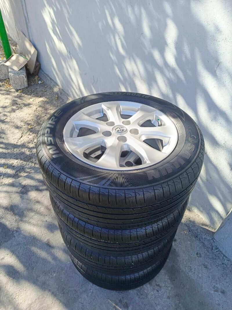 16 öküz kele radnoy 5 200 TMT - Хитровка - img 4