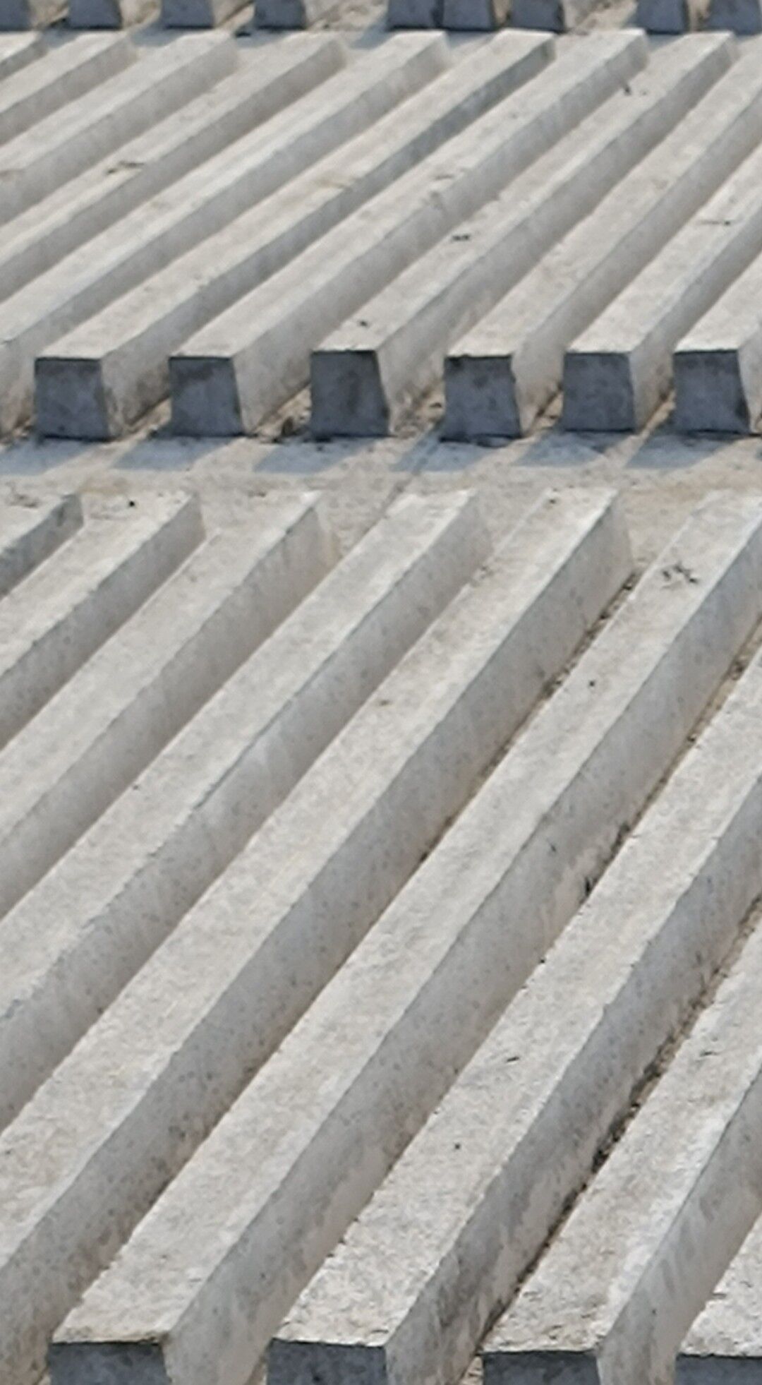 pasynka şpaller - Aşgabat - img 2