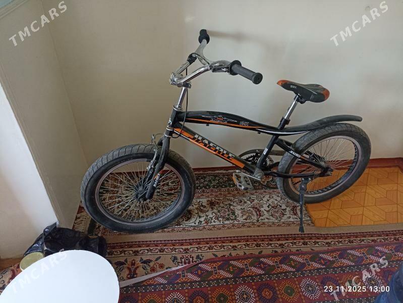 welsapet - Mary - img 2