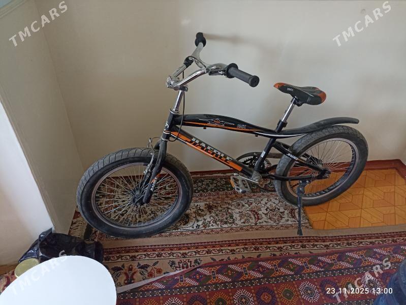 welsapet - Mary - img 1