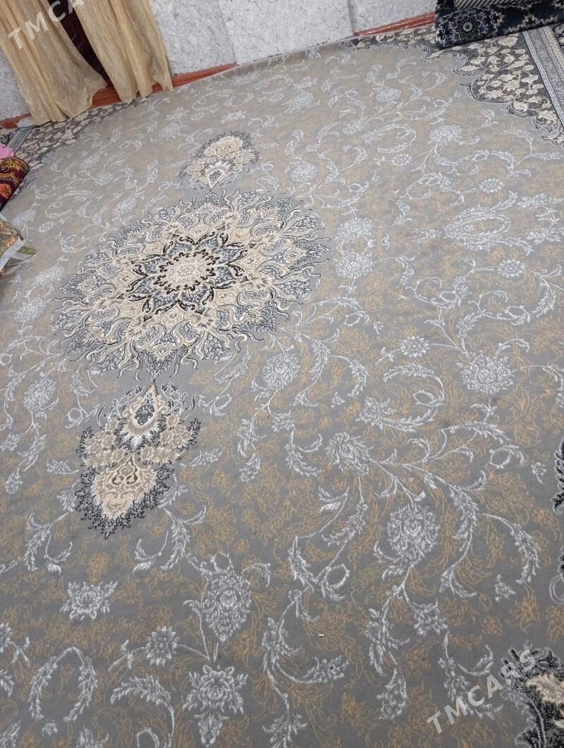 Haly5×4 3×4 - Дашогуз - img 2