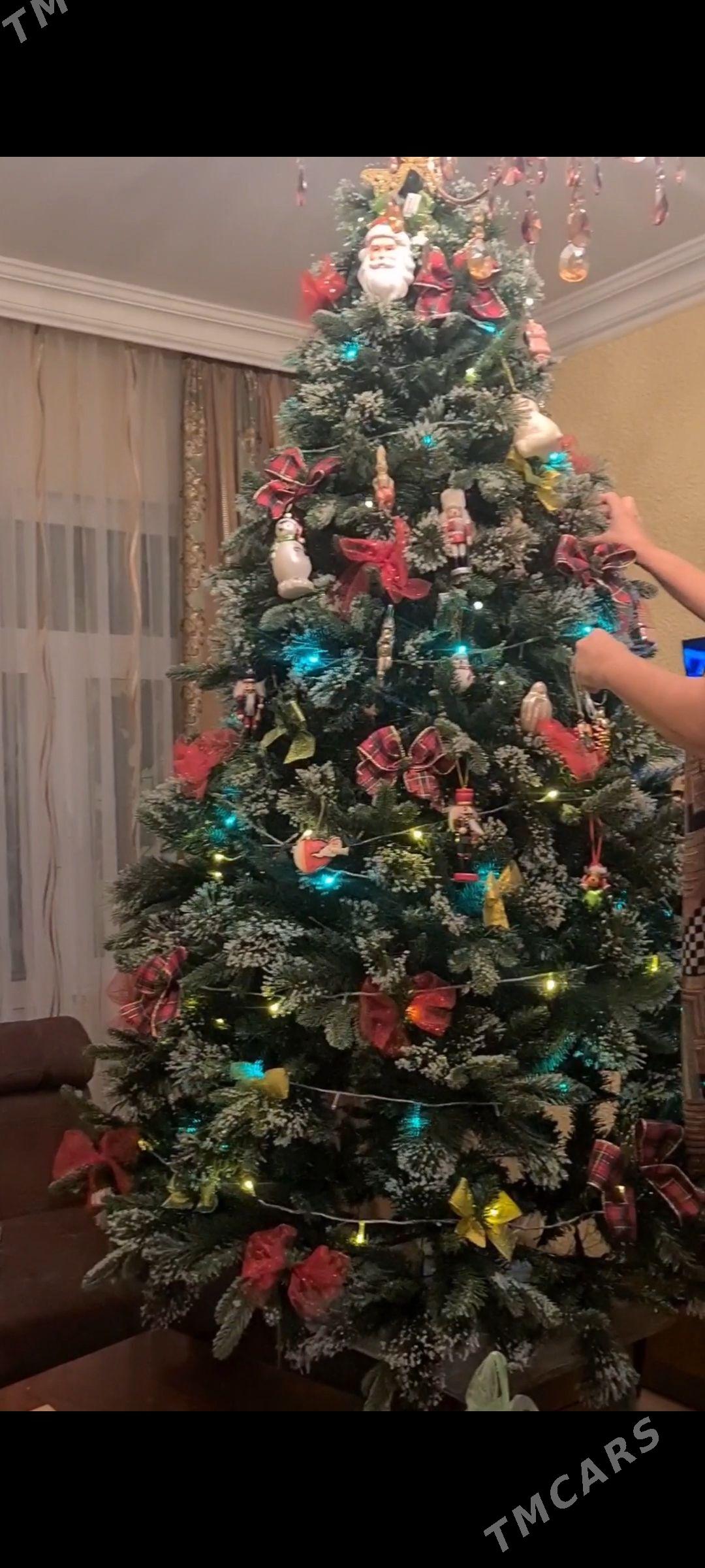 Ёлка 210 - Ашхабад - img 2