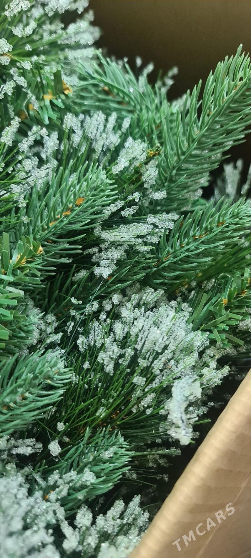 Ёлка 210 - Ашхабад - img 4