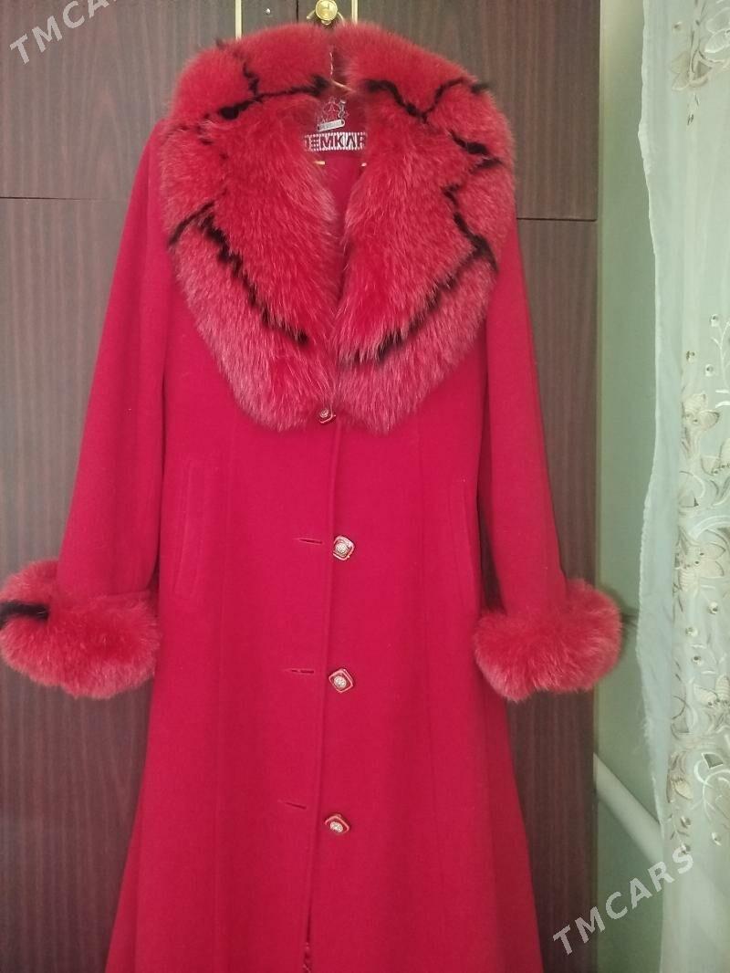 lama palto - Daşoguz - img 2