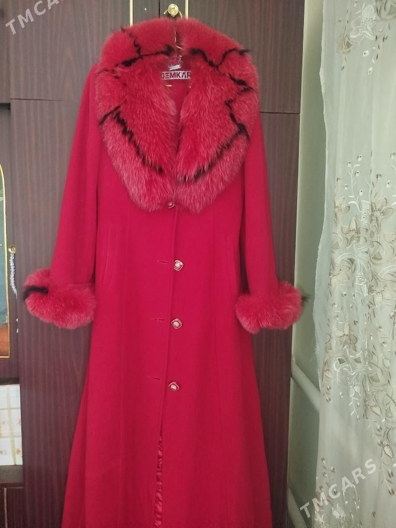 lama palto - Daşoguz - img 3