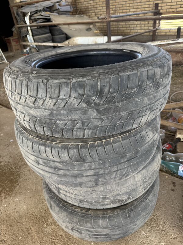 teker 150 TMT - Mary - img 2