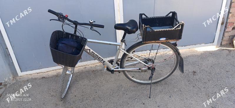 Welik 27 - Теджен - img 4