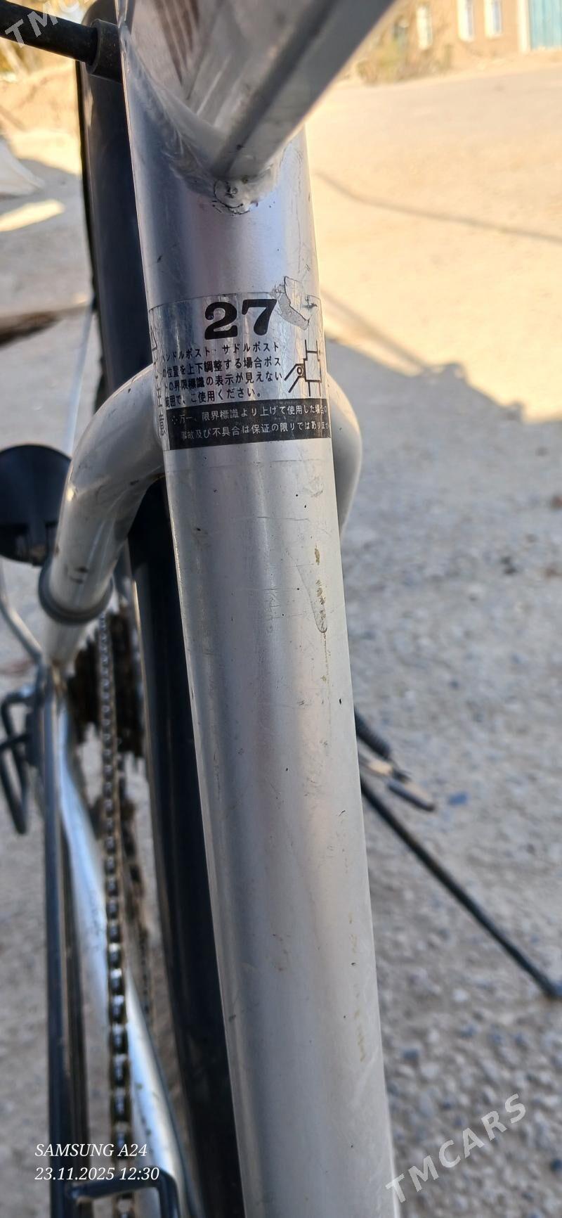 Welik 27 - Теджен - img 2