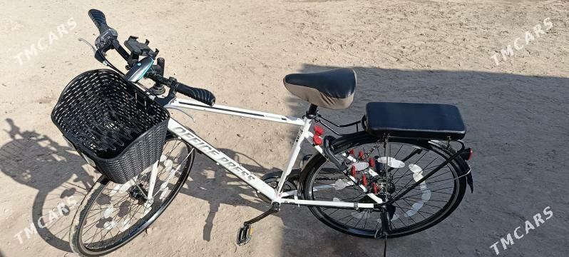 welik 530 madeli - Sakarçäge - img 4