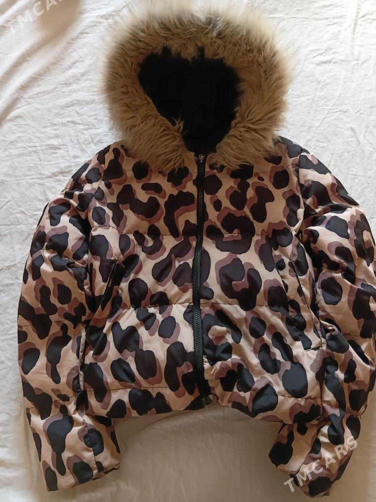 Kurtgalar 3 sany - Daşoguz - img 2