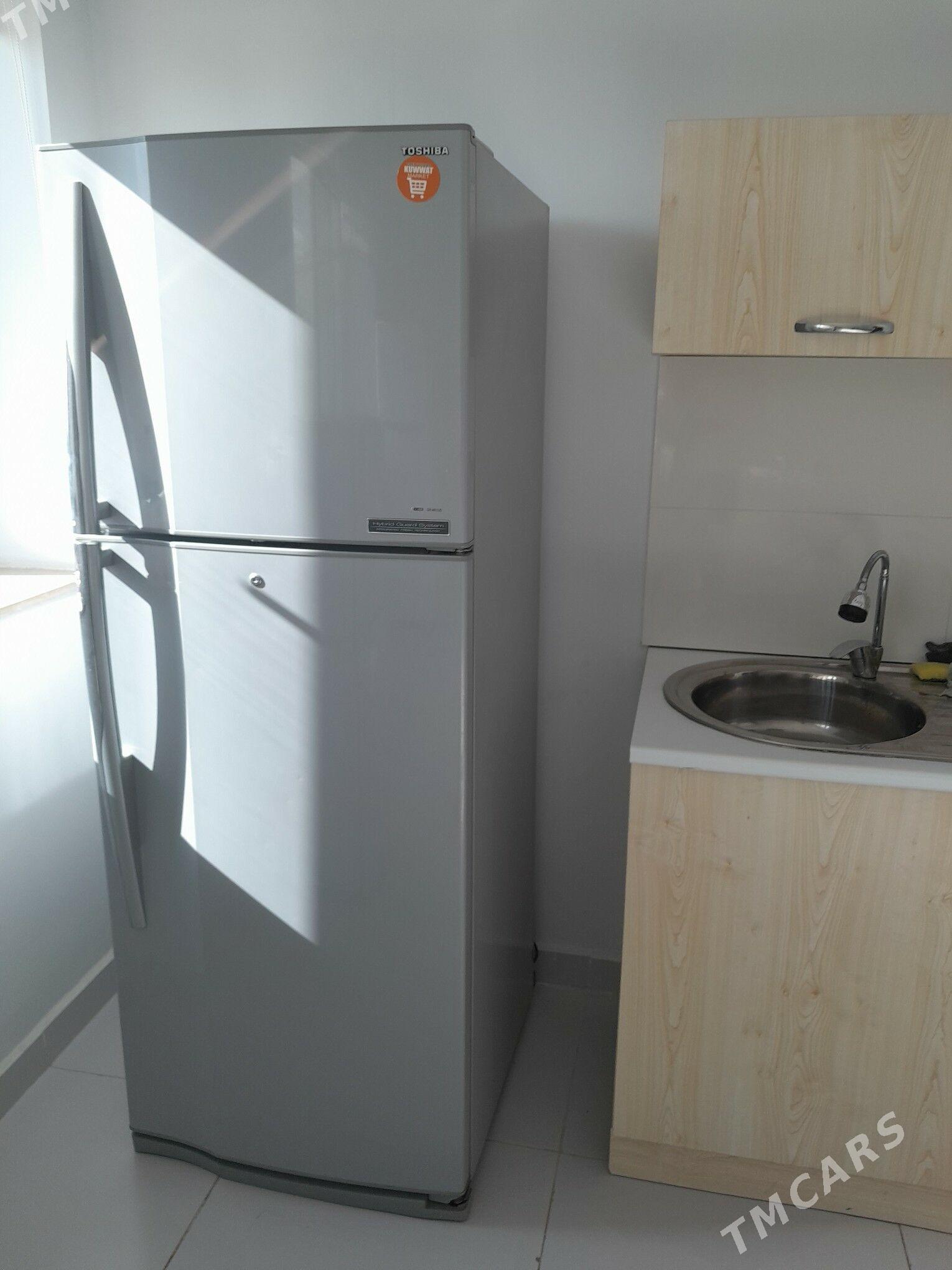 holodinlik - Arkadag - img 2