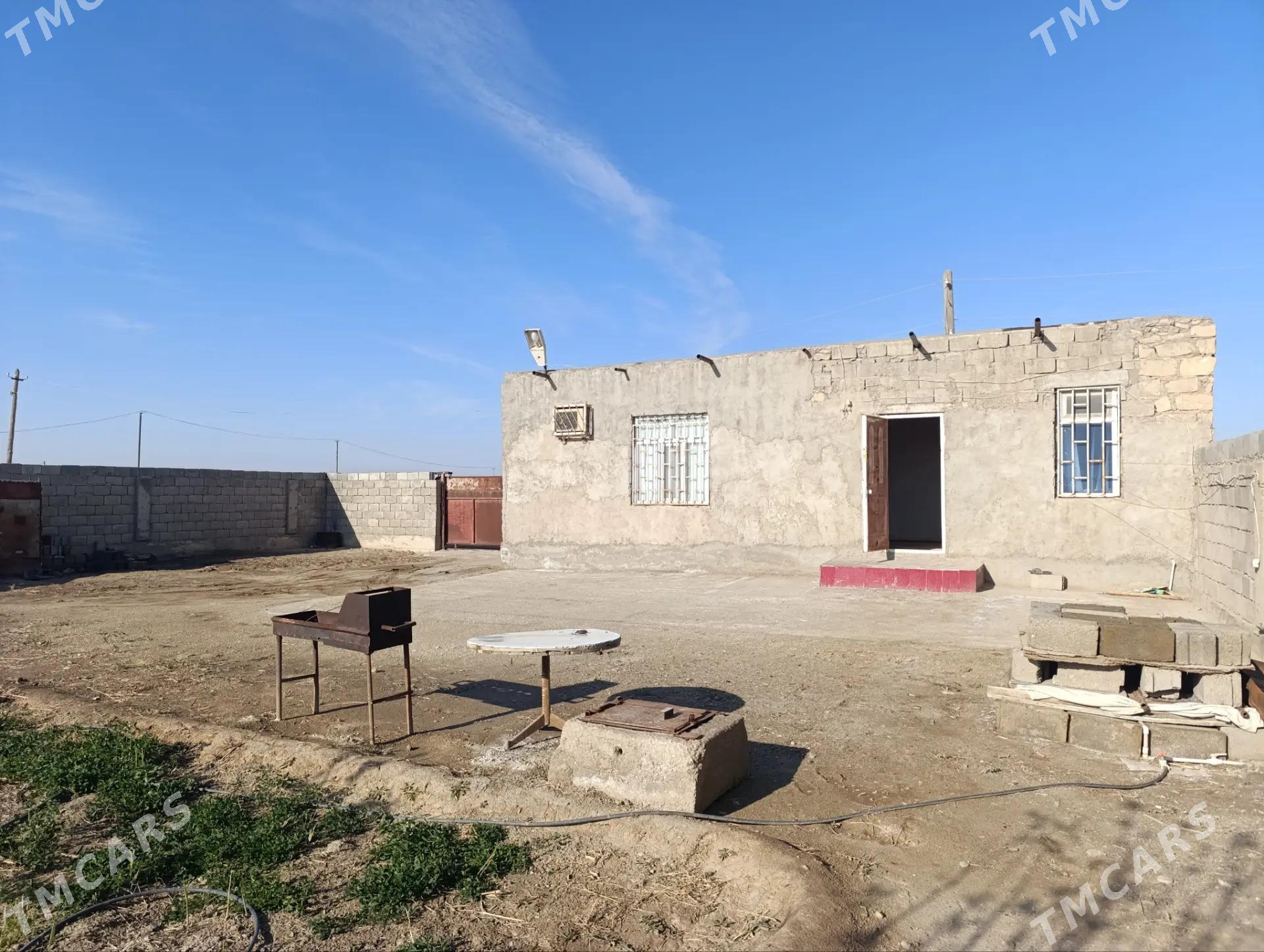 Balkanabat arbita - Балканабат - img 1