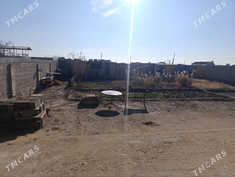 Balkanabat arbita - Балканабат - img 2