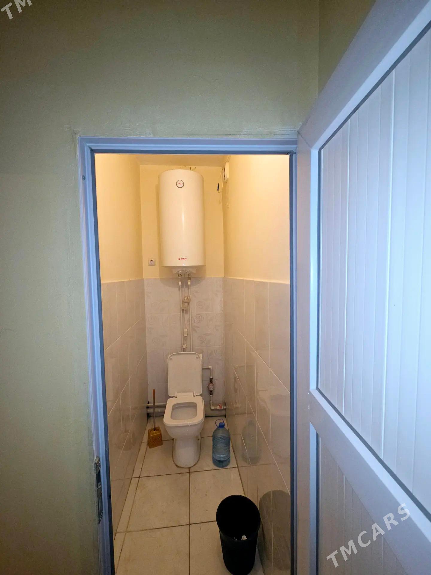 Buzmeyin Gres - Büzmeýin GRES - img 2