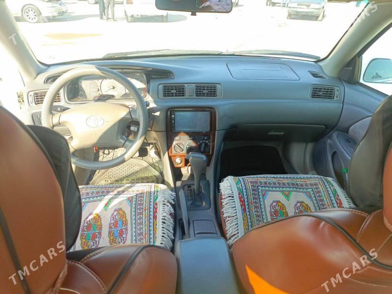 Toyota Camry 2000 - 130 000 TMT - Губадаг - img 5