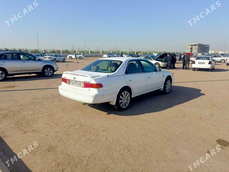 Toyota Camry 2000 - 130 000 TMT - Губадаг - img 4