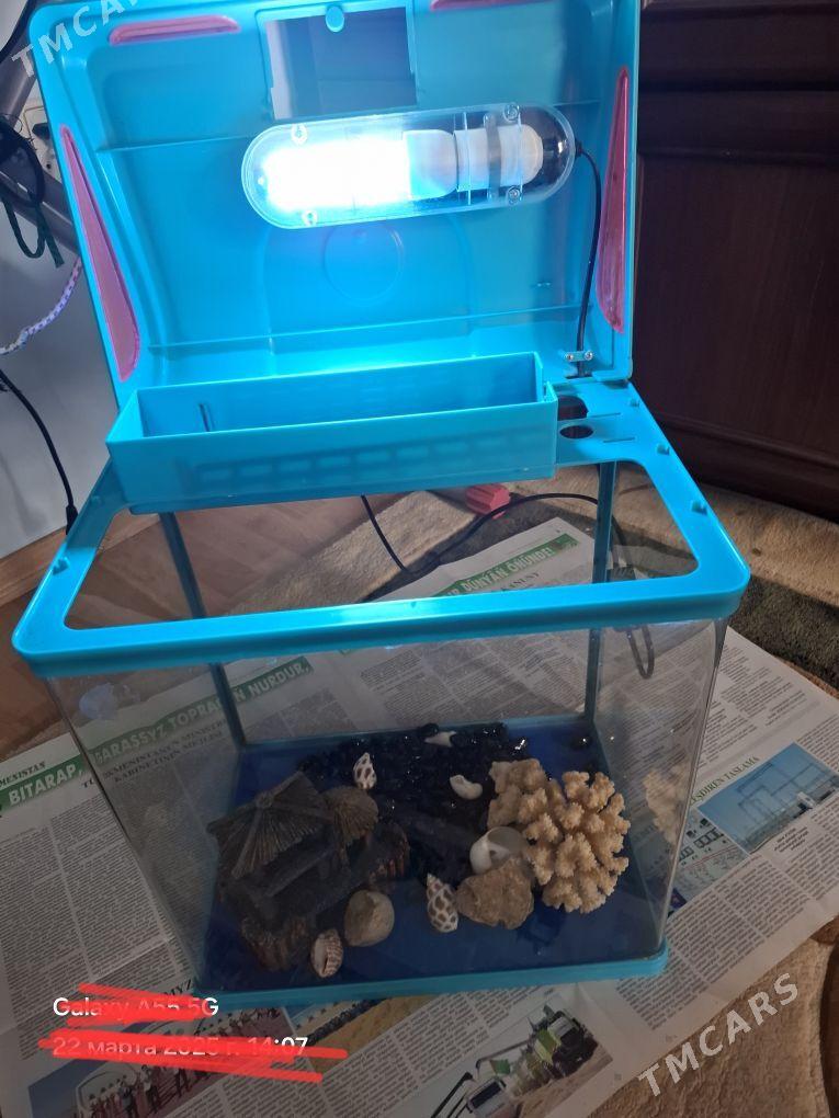 Аквариум - Parahat 4 - img 2