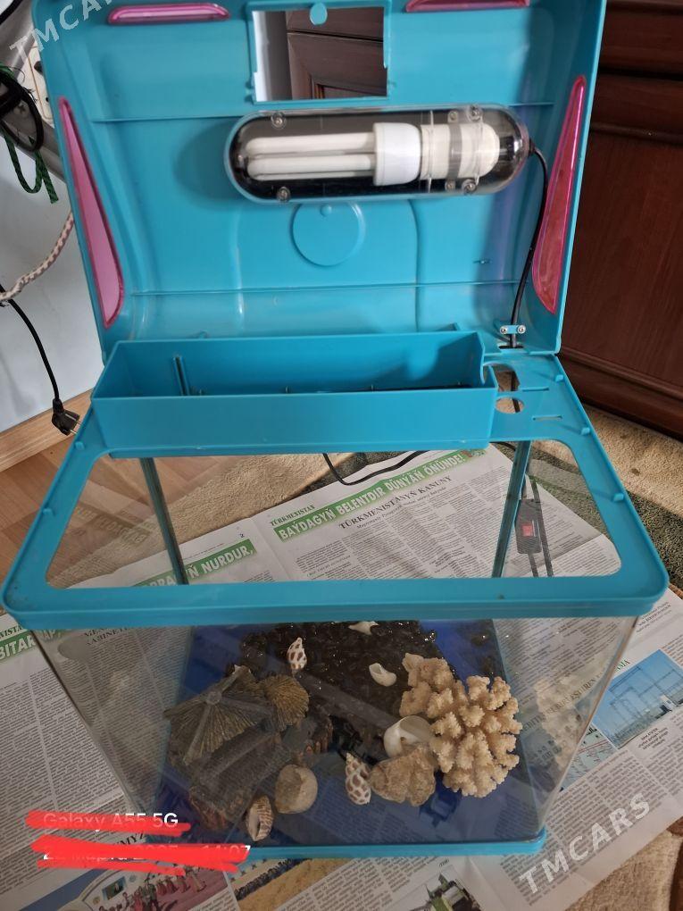 Аквариум - Parahat 4 - img 3