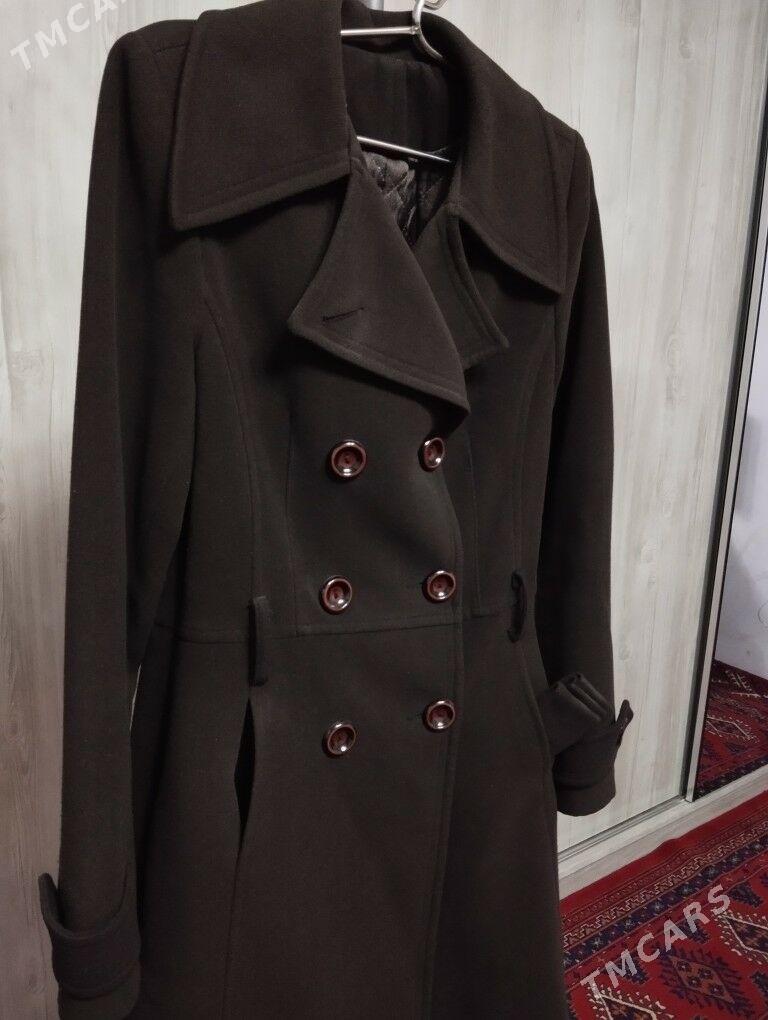 Paltolar - Daşoguz - img 7